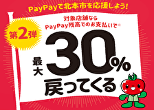 paypayキャンペーン