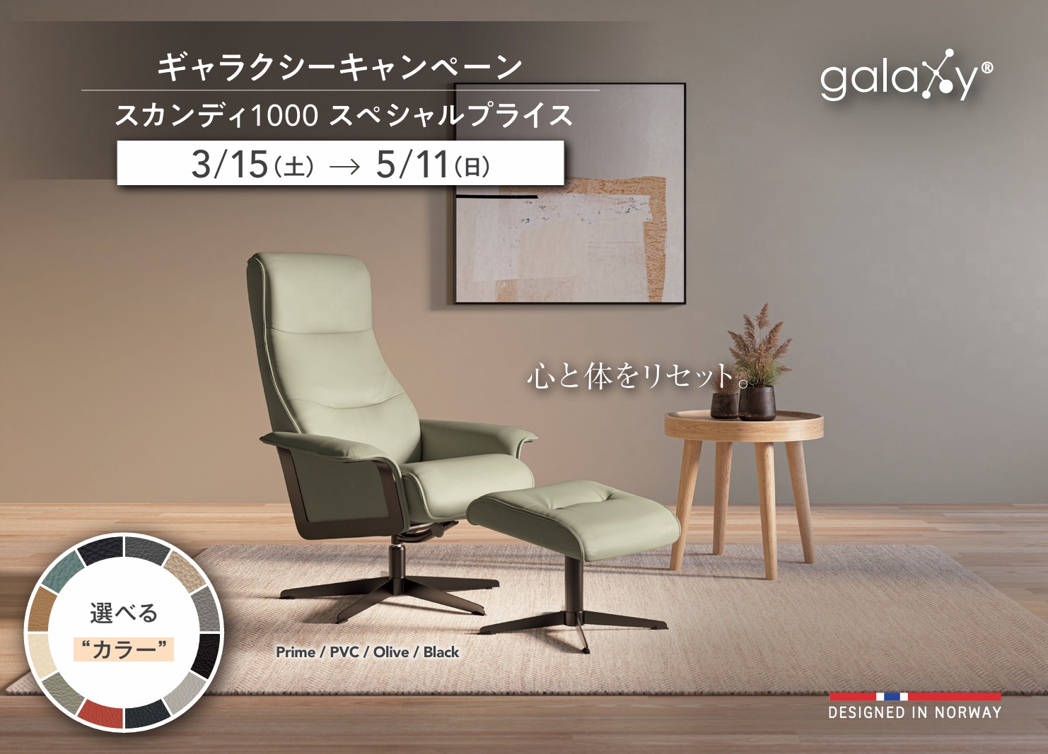 ギャラクシー スカンディ1000
