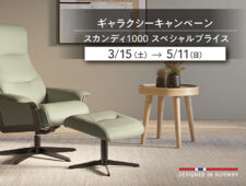 ギャラクシー スカンディ1000