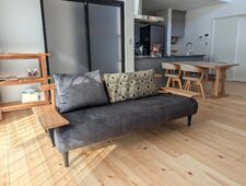 シェルタ、赤楠シェルフ