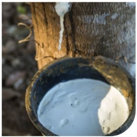 KINGKOIL ブリスレイヤー